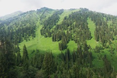 003-Almaty-25-Juni-26