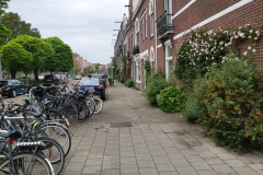 Bostadsområde i närheten av Vondelpark, Amsterdam.