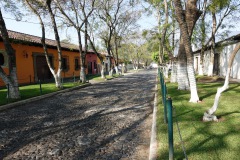 Mysig sidogata i centrala Antigua.
