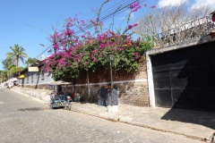 Gatuscen i mysiga Concepción de Ataco.