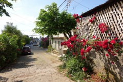Gatuscen, Juayua.