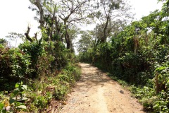 Grusväg i utkanten av Juayua.