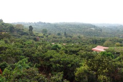 Utsikt över den omgivande naturen från Café Albania, Apaneca.