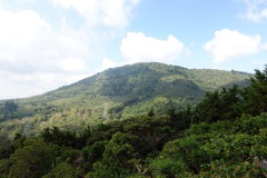 Utsikt över den omgivande naturen från Café Albania, Apaneca.