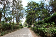 Promenad i de fina omgivningarna runt byn, Concepción de Ataco.