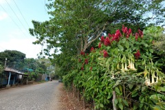 Promenad i de fina omgivningarna runt byn, Concepción de Ataco.