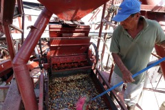 Maskin för att ta bort skalet från kaffebönorna, El Carmen Estate, Concepción de Ataco.