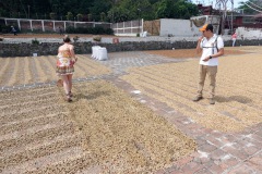 Här fick vi testa att "vända" bönorna för jämn torkning. Detta arbete utförs helt manuellt i denna anläggning, El Carmen Estate, Concepción de Ataco.