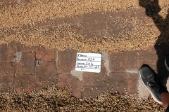 Kaffet märks upp noga avseende ursprung, kvalité och skördedatum, El Carmen Estate, Concepción de Ataco.