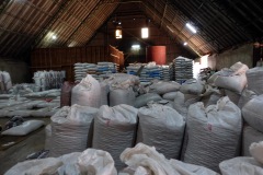 Kaffebönor för export, El Carmen Estate, Concepción de Ataco. Vid mitt besök var lagret bara fyllt till en tredjedel av maxkapacitet.