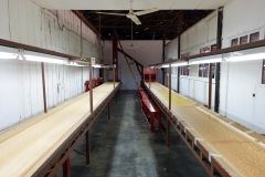 Sista anhalten för bönorna. Här görs en manuell bortgallring av bönor som inte håller måttet av flinka händer. Vid mitt besök var inte banden igång, El Carmen Estate, Concepción de Ataco.