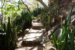 Reserva Natural Cerro Tzankujil, San Marcos La Laguna, Lake Atitlán.