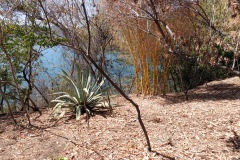 Reserva Natural Cerro Tzankujil, San Marcos La Laguna, Lake Atitlán.