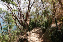 Reserva Natural Cerro Tzankujil, San Marcos La Laguna, Lake Atitlán.