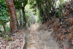 Leden upp till Indian Nose från Mirador Kaqasiiwaan, Lake Atitlán.