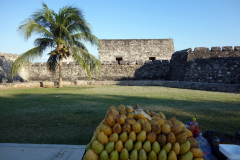 Försäljning av mango, Fuerte de San Felipe de Bacalar, Bacalar.