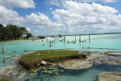 Cenote Cocalitos. Det är egentligen ingen cenote då området är en del av Laguna Bacalar.