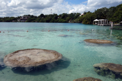 Cenote Cocalitos.