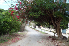 Boulevard Costera i riktning mot Cenote Azul.