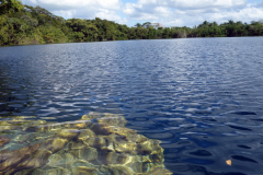 Cenote Azul.