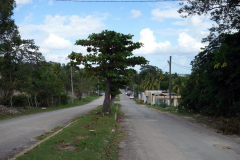 Boulevard Costera i riktning mot Bacalar.