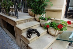 001-Baku-15-Juli-26
