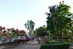 Benjakitti Park, Bangkok.