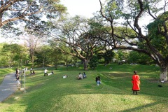Benjakitti Forest Park, Bangkok.