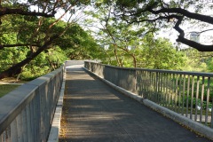 Skywalk, Benjakitti Forest Park, Bangkok.