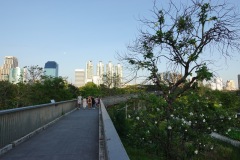 Skywalk, Benjakitti Forest Park, Bangkok.