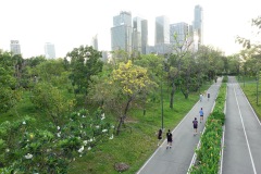 Led för cykling, löpning och promenader, Benjakitti Forest Park, Bangkok.