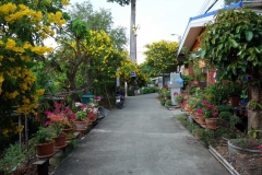 Cykling längs vägen runt Koh Kret, Nonthaburi.