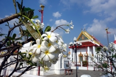 Koh Kret, Nonthaburi.