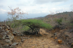 Camino Real mellan Barichara och Guane.