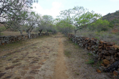 Camino Real mellan Barichara och Guane.