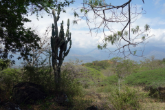 Camino Real mellan Barichara och Guane.