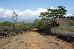 Camino Real mellan Barichara och Guane.