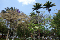 Parque Principal, Barichara.