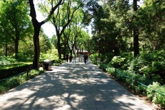 002-Beijing-17-Juni-26_Pt2