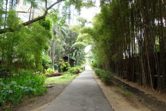 019-BGC-15-Feb-25