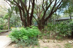 020-BGC-15-Feb-25