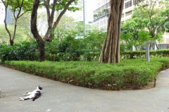027-BGC-15-Feb-25