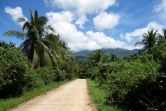 En bergsväg på väg till Sampao Rice Terraces, Biliran.