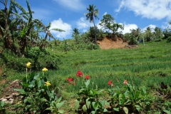 Längs vägen uppe i bergen på väg till Sampao Rice Terraces, Biliran.