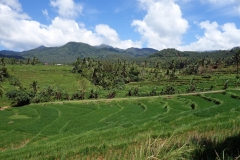 Sampao Rice Terraces, Biliran.