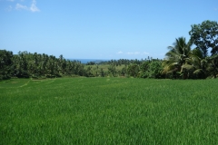Ön Dalutan syns nere i vattnet i denna fantastiska vy uppifrån bergen, Biliran.