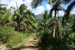 På väg ner till Bagongbong Falls, Biliran.