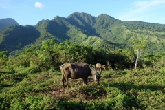 Den vackra naturen på Biliran.