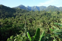 Den vackra naturen på Biliran.