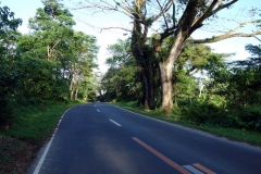 Naval-Caibiran Cross Country Road, Biliran